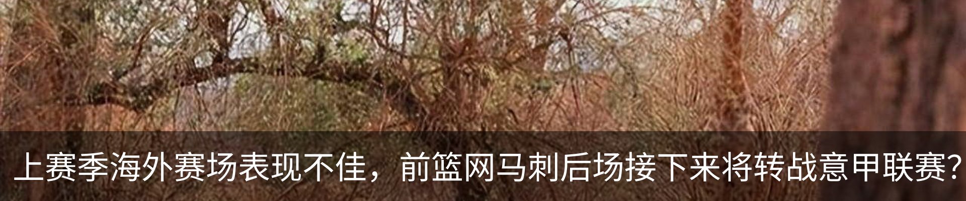 内页banner